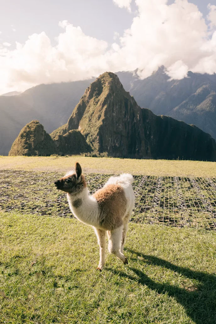 Pagos a la Pachamama y Arte Textil Vivo - 3